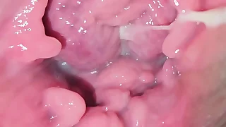981 bbw porn videos